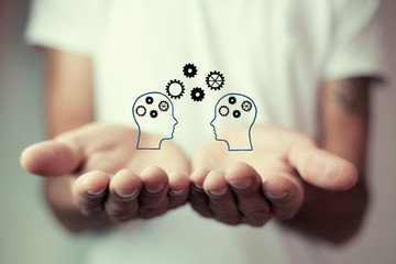 中药仙草的性质和药效