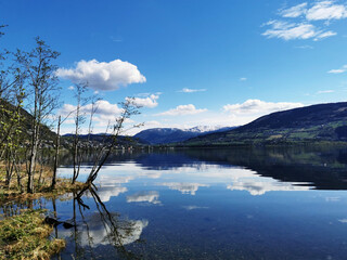 车险出单员应该学些什么?