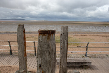 中药仙草的性质和药效