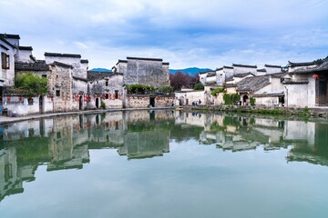 中药仙草的性质和药效