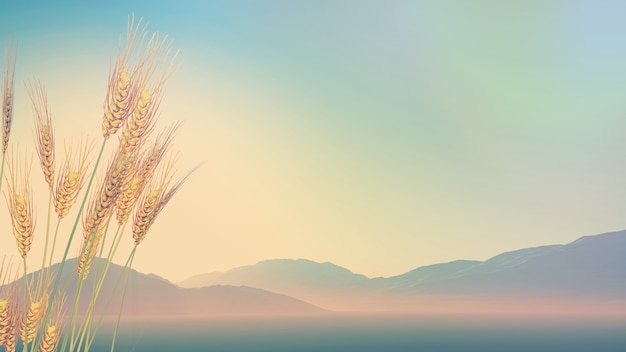 中医预防医学思想的核心内涵包括